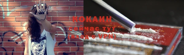 индика Армянск