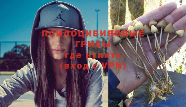 таблы Аркадак