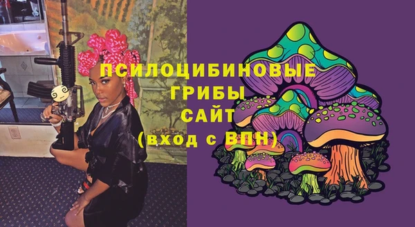 метадон Арсеньев