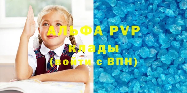индика Армянск