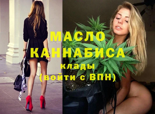 индика Армянск